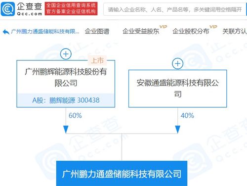 鵬輝能源參股成立儲能科技新公司，注冊資本達1億元，拓展信息系統集成服務